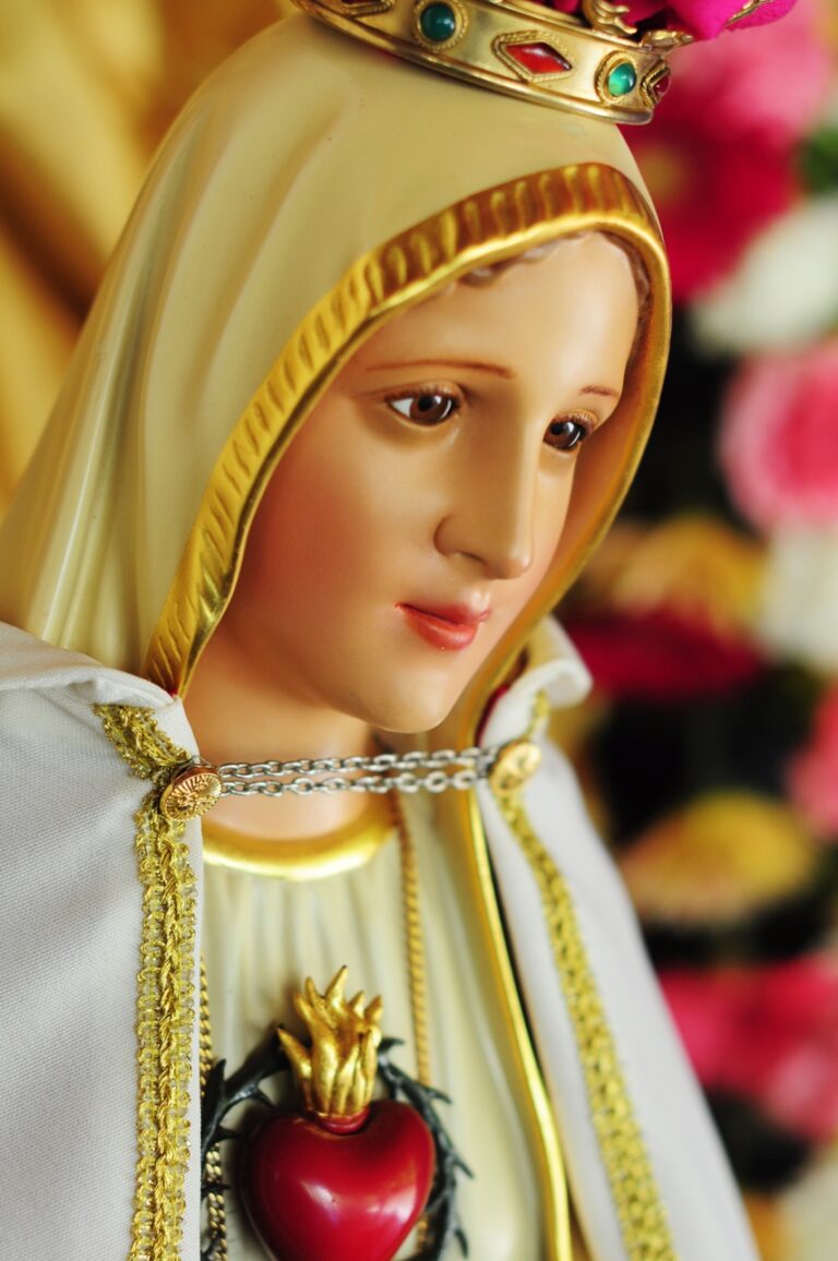 Arautos do Evangelho lançam aplicativo “Salve Maria!”