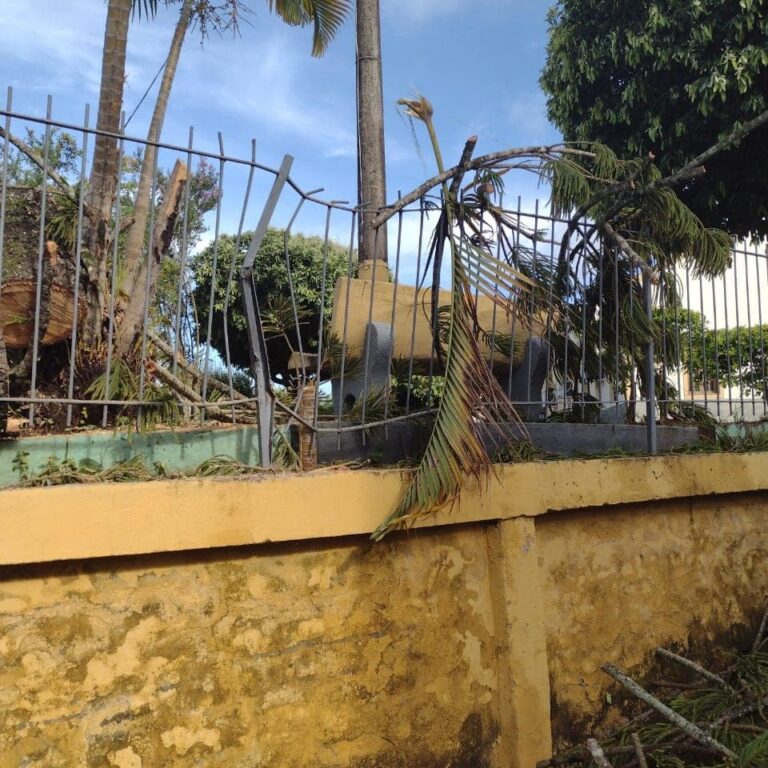 Chuva tomba árvore e danifica muro na Capela São José de Miracema