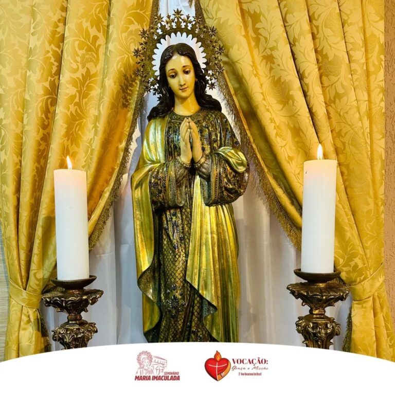 Seminário Diocesano de Campos realiza Novena em honra a Maria Imaculada