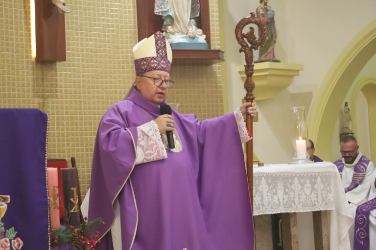 No Natal a Criação inteira acolhe e abraça o Menino Deus!