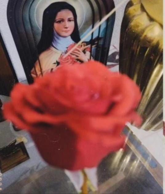 Testemunhos: Jovens se inspiram na vida de Santa Teresinha